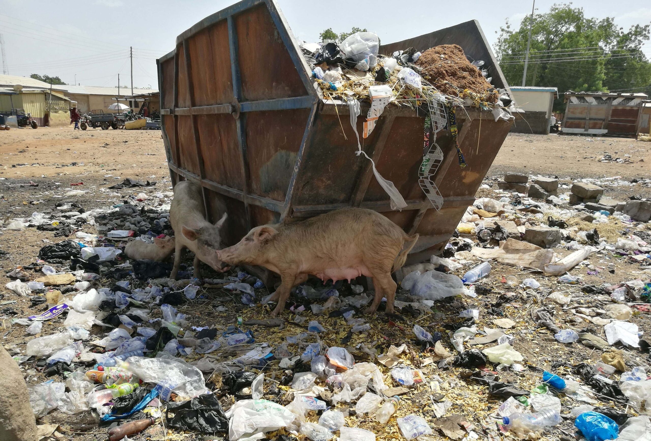 Prügikonteinerid, millele ei tulda kunagi järele. Foto: Toomas Liivamägi