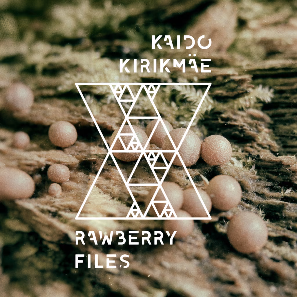 Kaido Kirikmäe – Rawberry Files (Ambifunk, 2017)