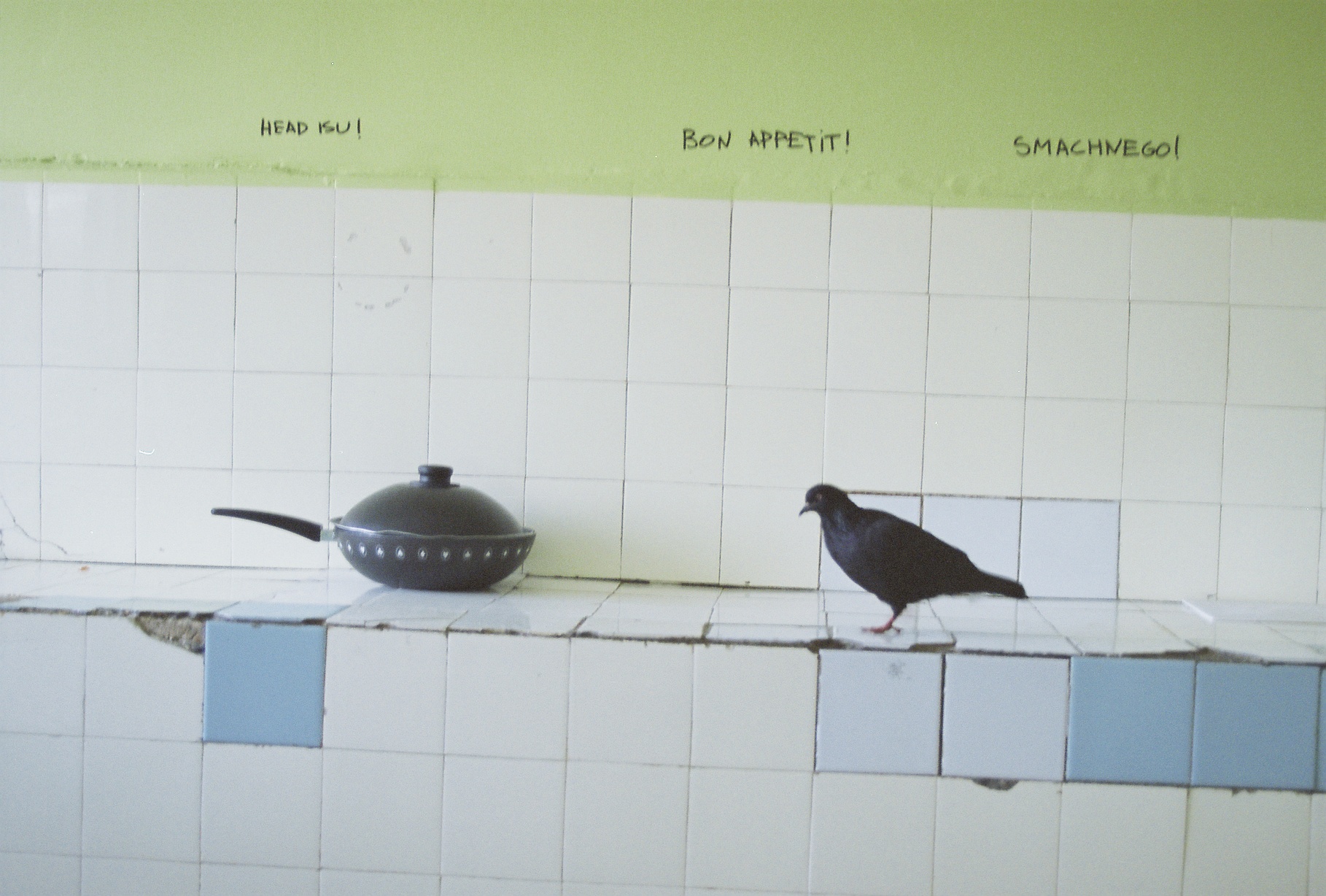 See vaatepilt enam kelleski ilmselt imestust ei tekita. Foto: Karmen Otu