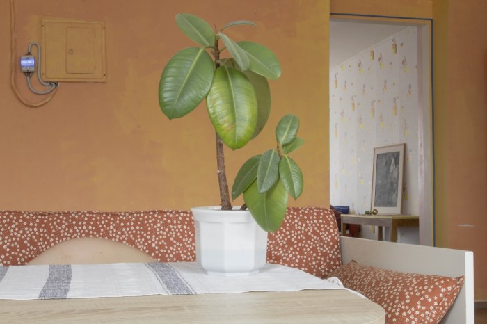 Epp Kubu ja Flo Kasearu foto seeriast „Kaanetüdruk”