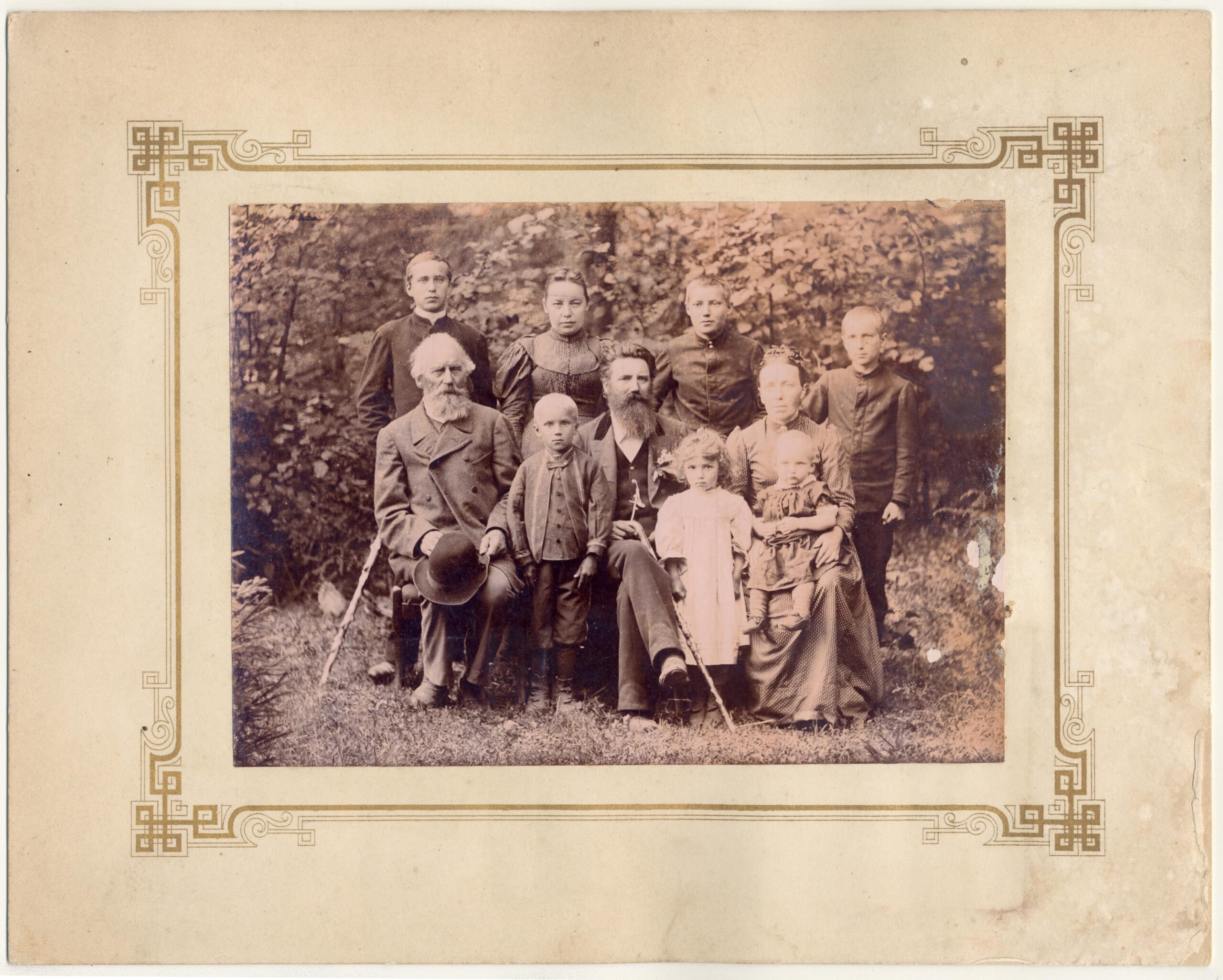 Rosmannide perekond. ERM Fk 16435