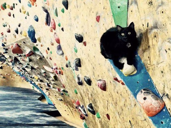 Ronimisministeeriumis toimub kväärpidu