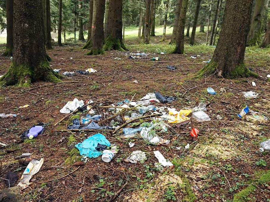 Maailmakoristusp&auml;eva meeskond kutsub k&otilde;iki pr&uuml;gi kaardistama