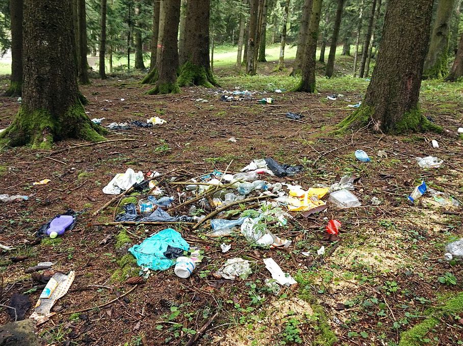 Prügi metsa all. Foto: Tiia Monto