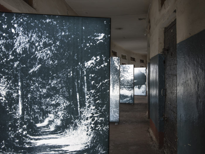 Näitusevaade. Foto: Aap Tepper