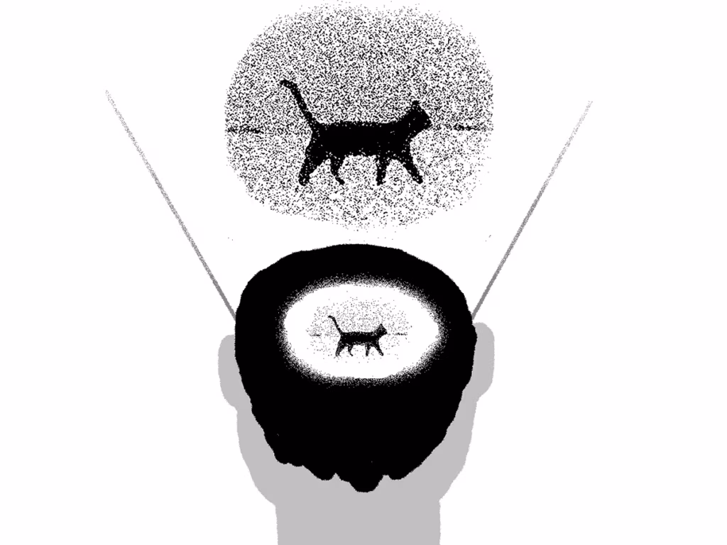 N&auml;gemise mitu n&auml;gu