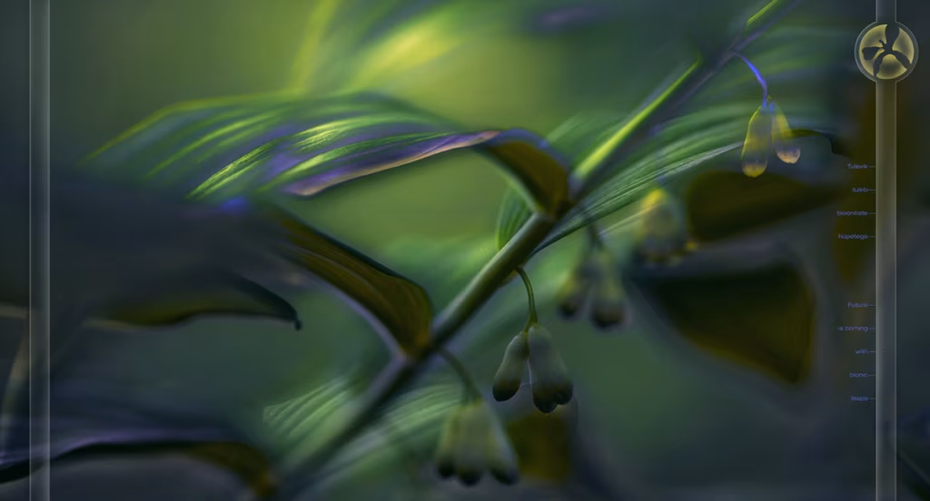 Me ise loitsime endale tulevikku