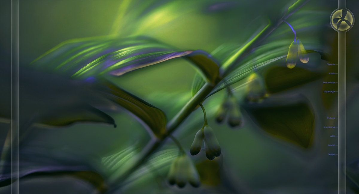 „Päevauudised”. Autor: Peeter Laurits