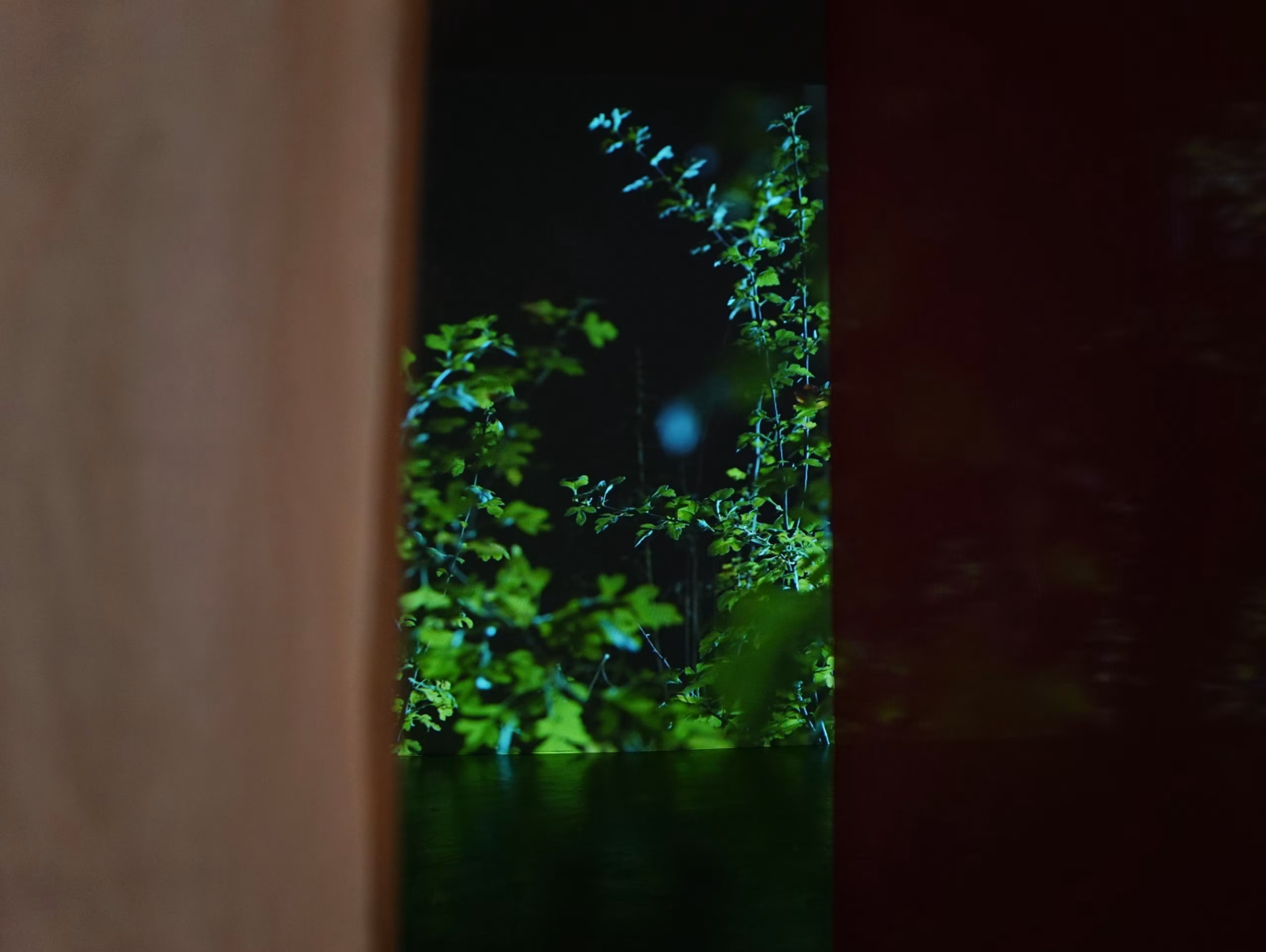 Arvustus: Inimesed on taimede uni