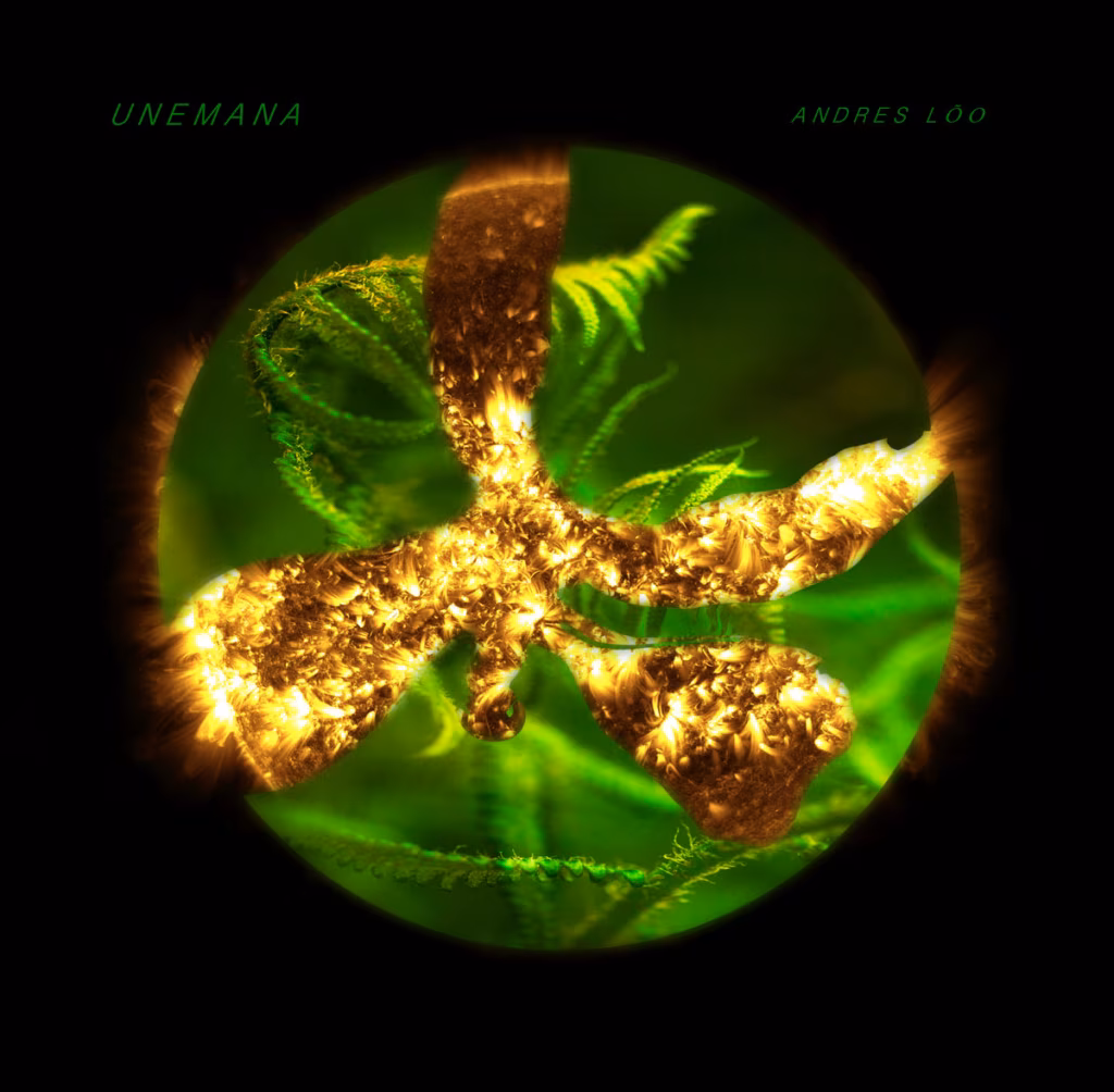 Andres L&otilde;o &ndash; Unemana (Phantom Platform, 2018)