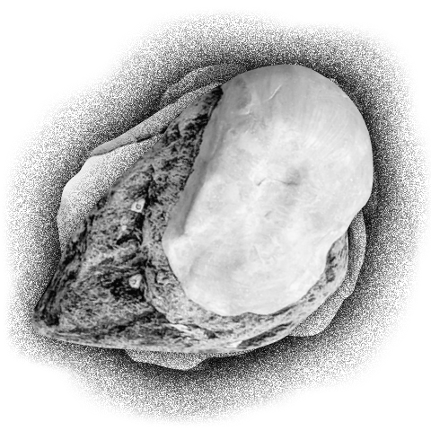 Mida kõneleb mateeria me ümber