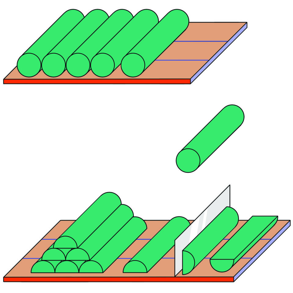 Illustratsioon: Ann Pajuväli