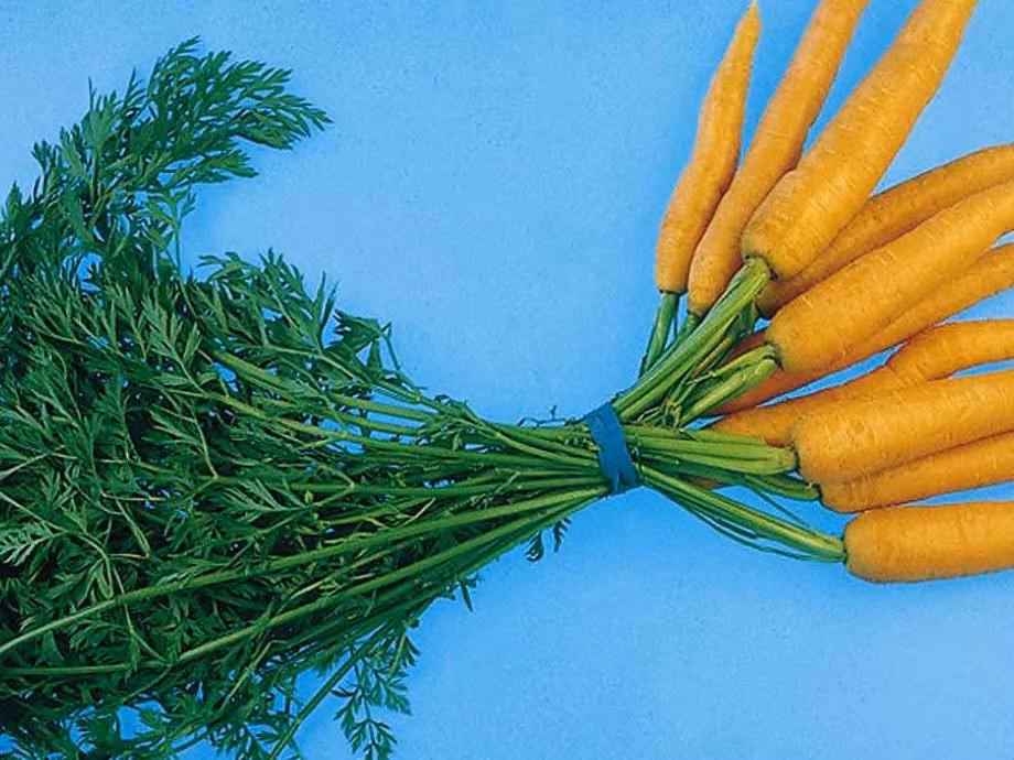 Taimne Teisipäev koolides: muutuse otsetee inertses ühiskonnas