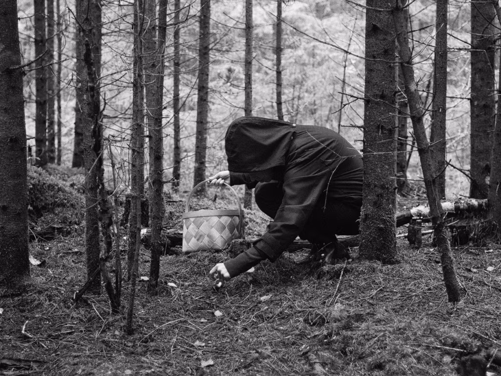 Sissevaade n&uuml;&uuml;disaegsesse koriluspraktikasse