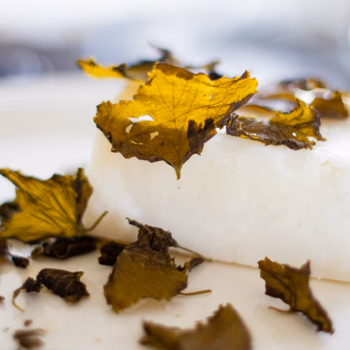 Fermenteeritud mustsõstralehed