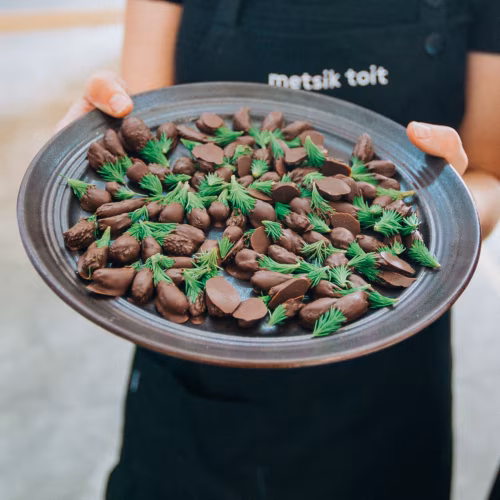 Kuusevõrsed šokolaadis