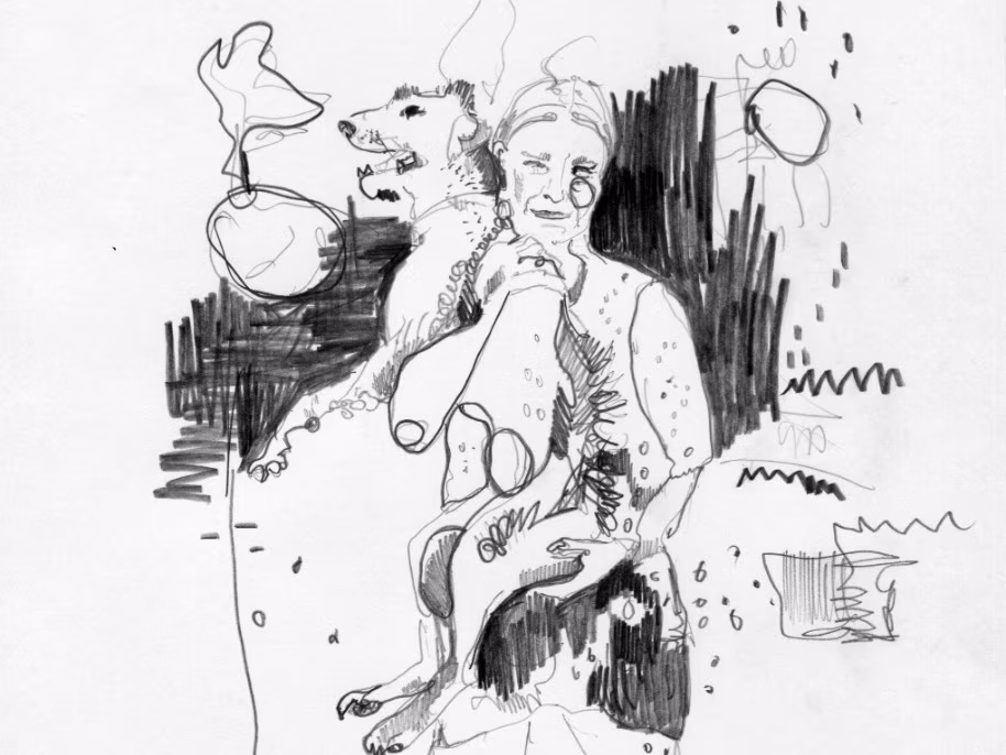 Anne Vetik: Koerad, rand, vabadus