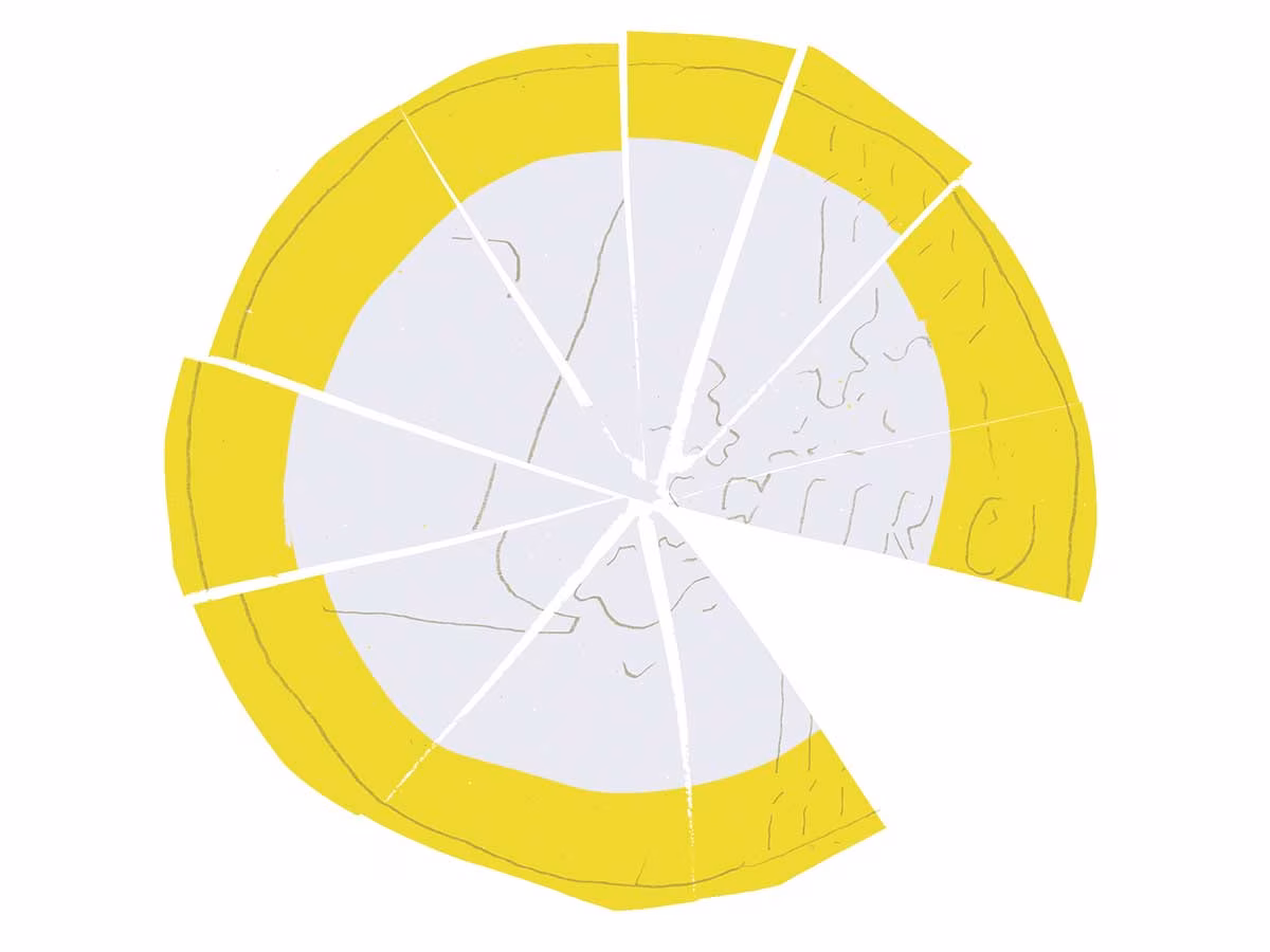 Kodanikupalk – kas reaalsus või utoopia?