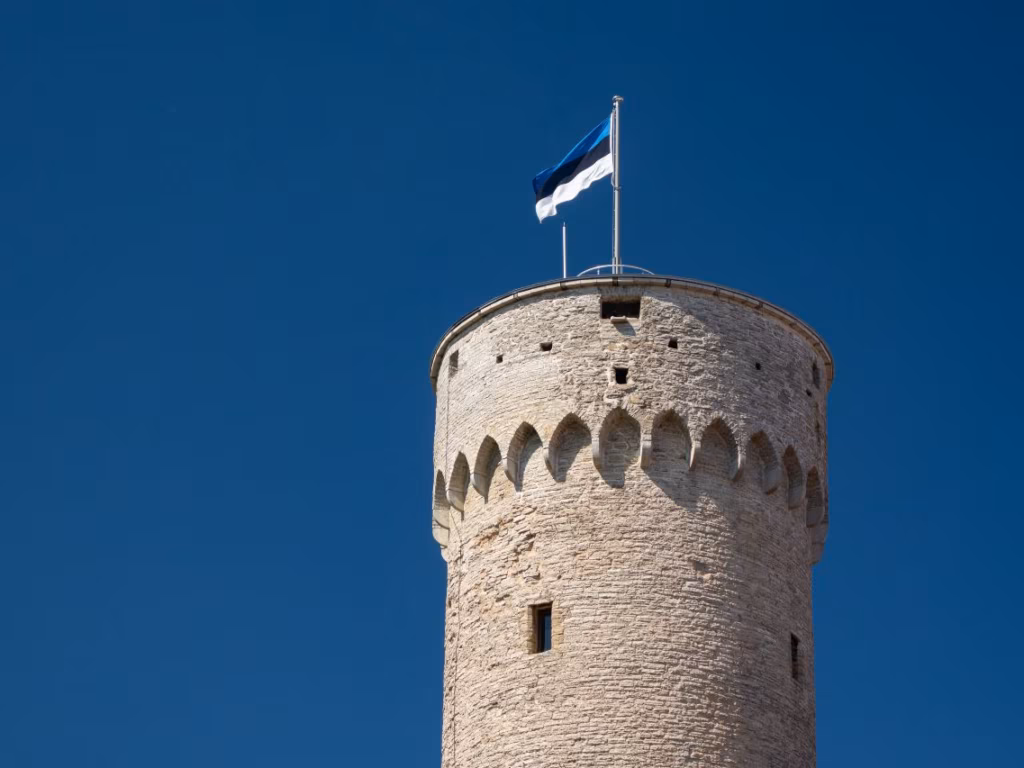 Riigimale &ndash; kuidas n&auml;ha paremaid k&auml;ike?