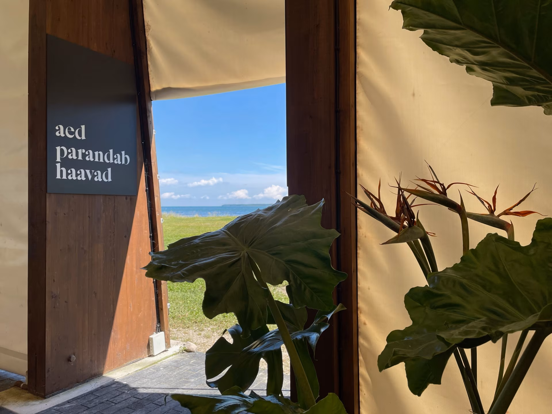 Müürilehe kultuurikalender juulis – kuhu minna, mida teha?