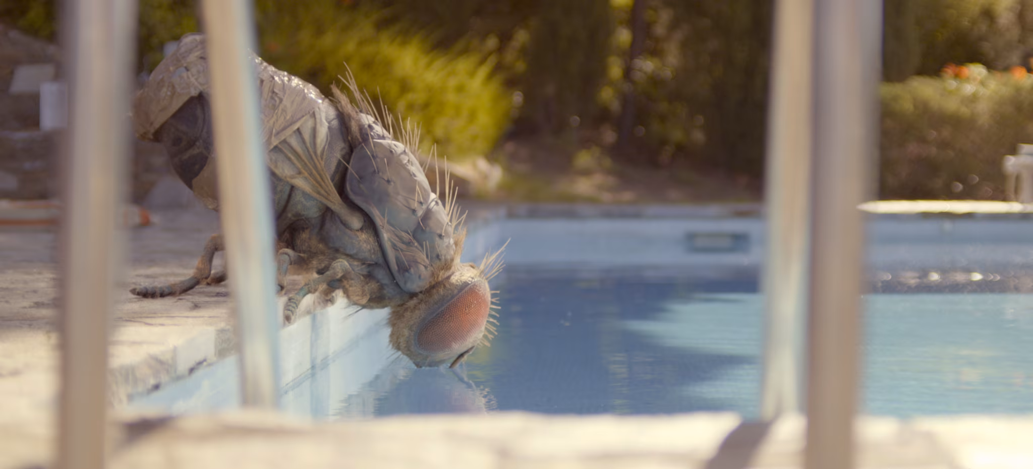 Alistumine absurdile