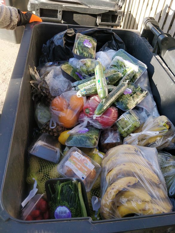 Toidukaupluse pr&uuml;gikastist p&auml;&auml;stetud toit. Foto: Mari-Liis Viirsalu