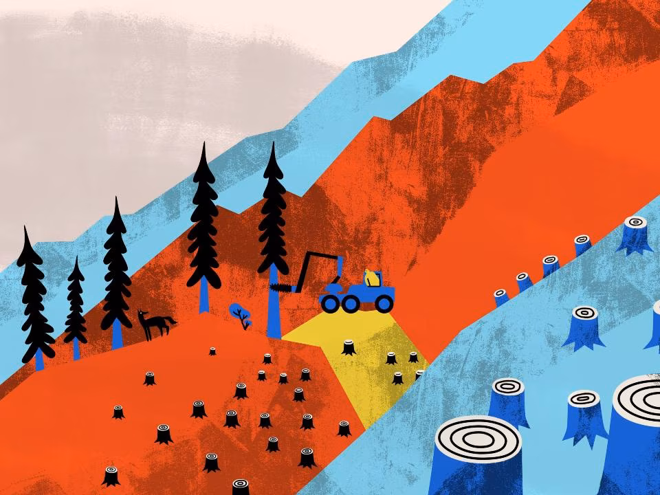 Aet Annist: Me oleme end kaitsev loodus