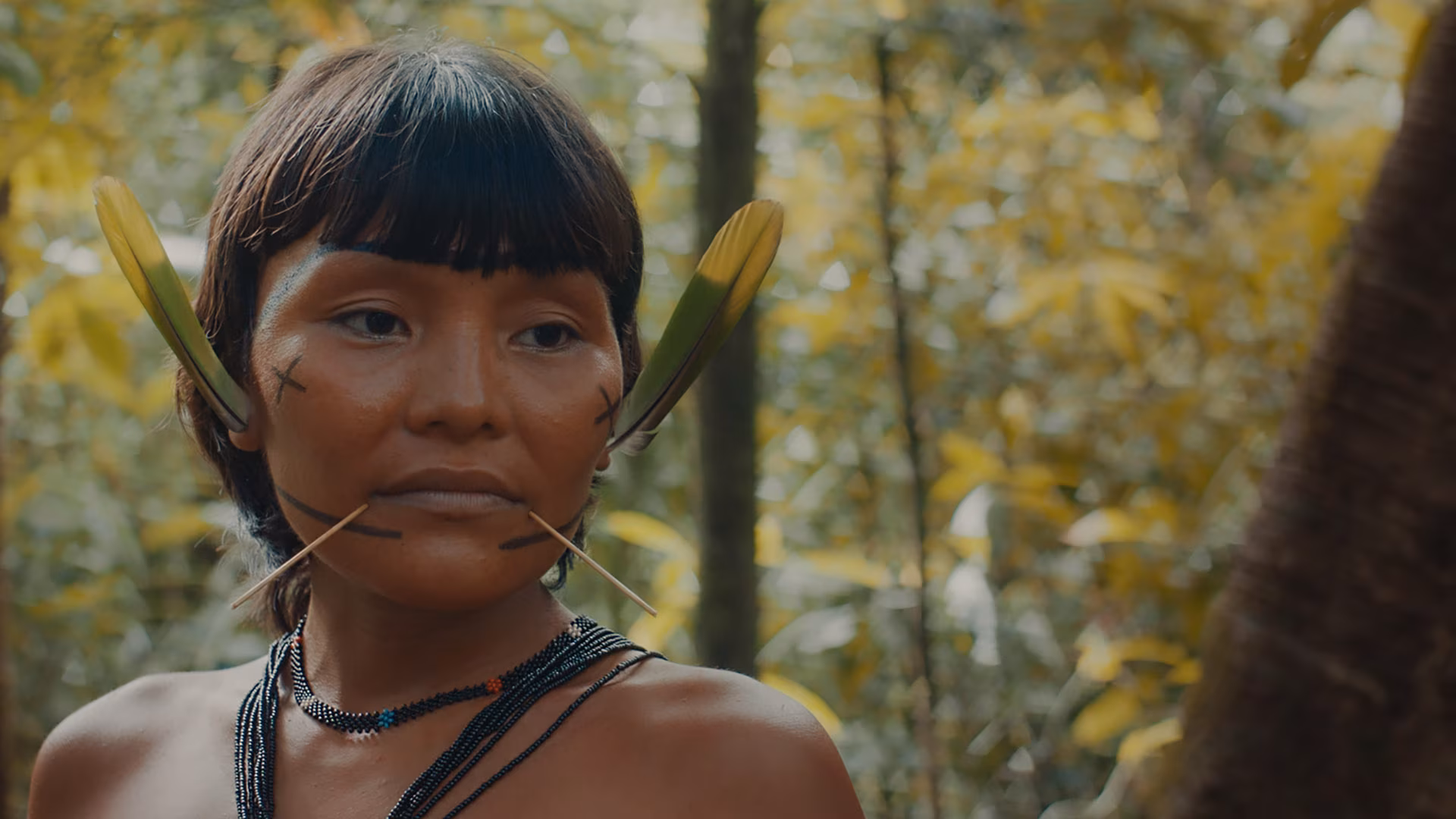 Valik PÖFF25 filme: internaat, džungel ja „Suur Õun”