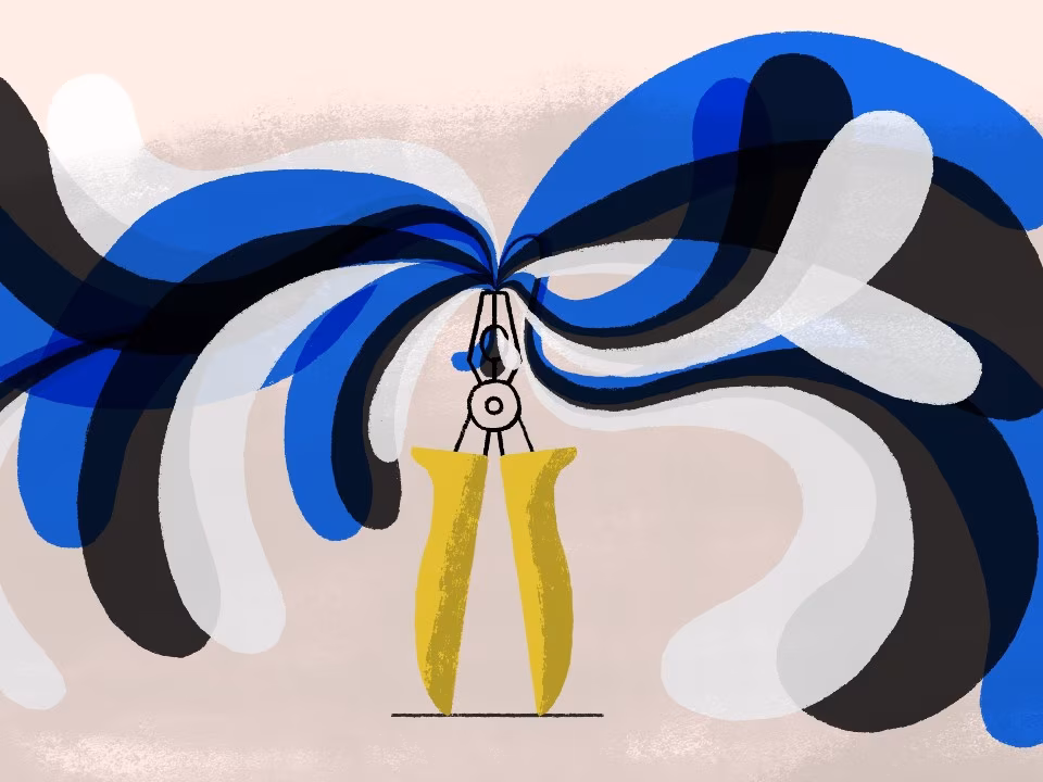 Aet Annist: Rahvusriik keskkonnakriisi tangide vahel