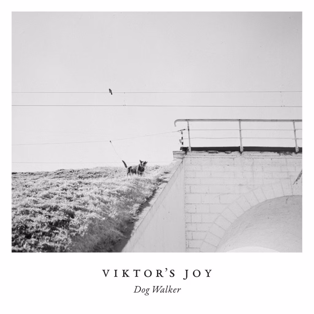 Viktor&rsquo;s Joy &ndash; Dog Walker (Grainy Records, 2021)