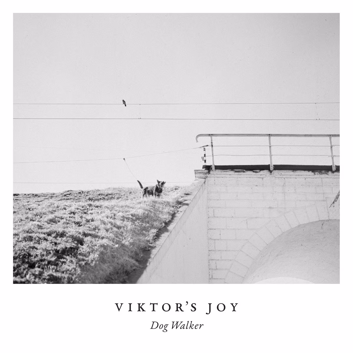 Viktor’s Joy – Dog Walker (Grainy Records, 2021)