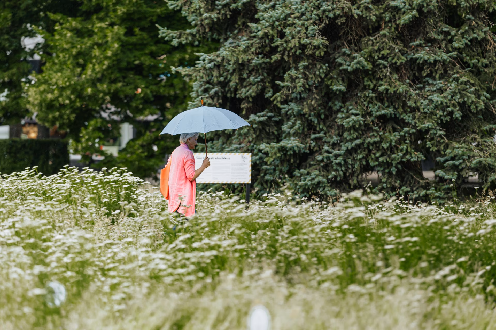 Linnaruumikolumn: Looduse kroon end kliimamuutuse eest ei kaitse