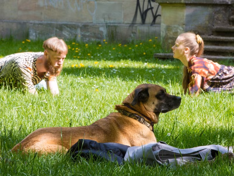 Pühapäeval hakkavad Kadrioru pargis loomad inimesi õpetama