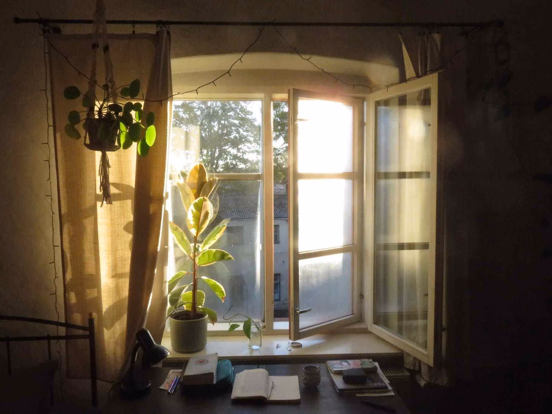 Roheline päevaraamat – oktoober