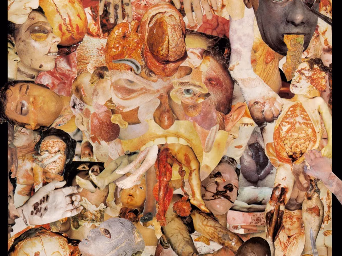 🫀 Elus surm ehk gore 🫀