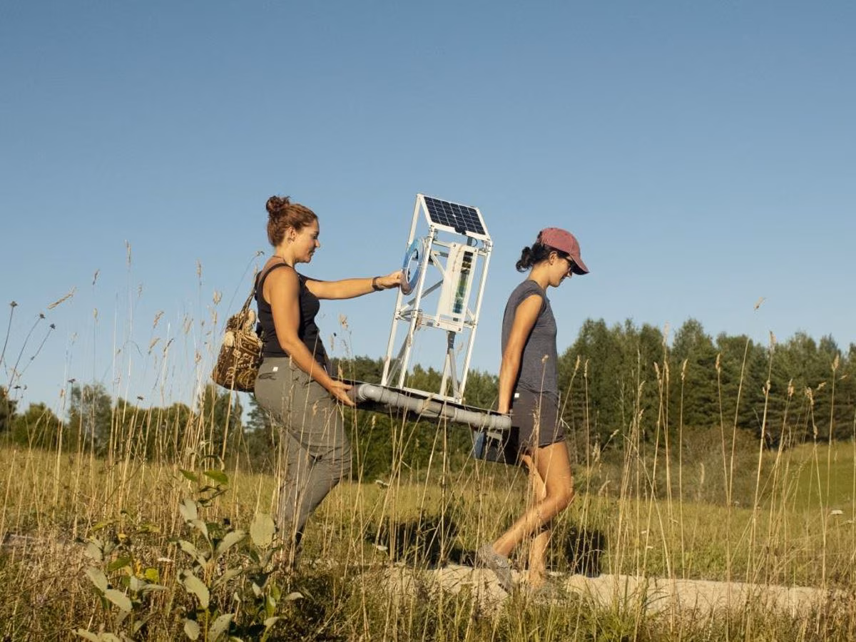 „Metsikute bittide” residentuuri saab kandideerida veel 10 päeva