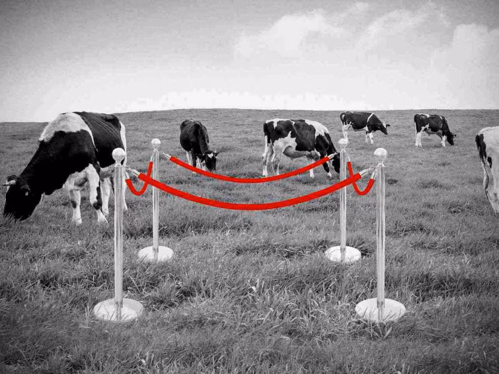 Puust ja punaseks: green grabbing