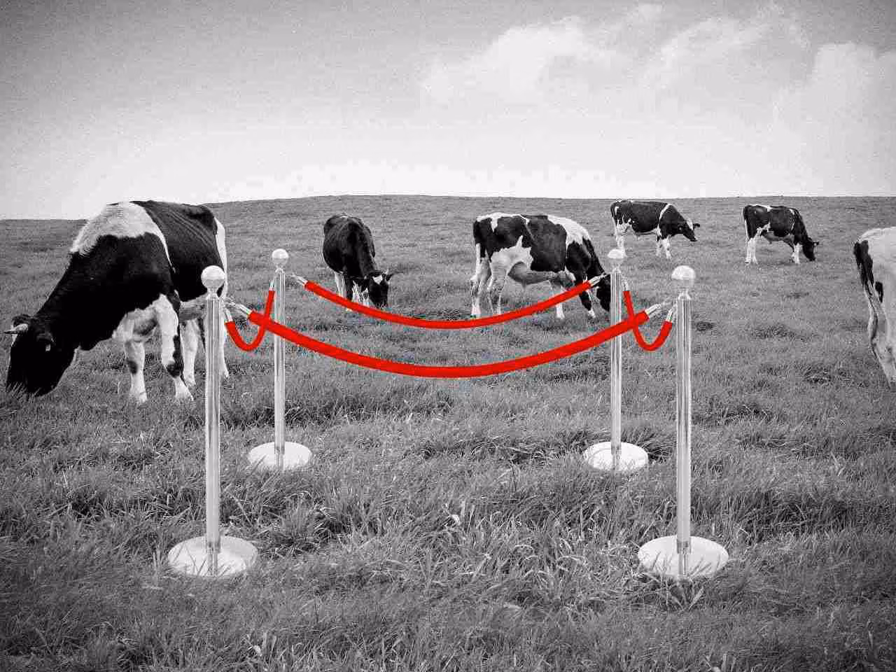 Puust ja punaseks: green grabbing