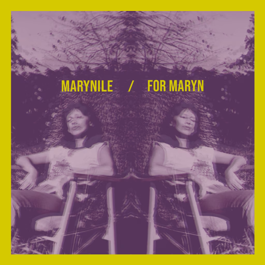 Erinevad esitajad &ndash; Marynile / For Maryn (2023)