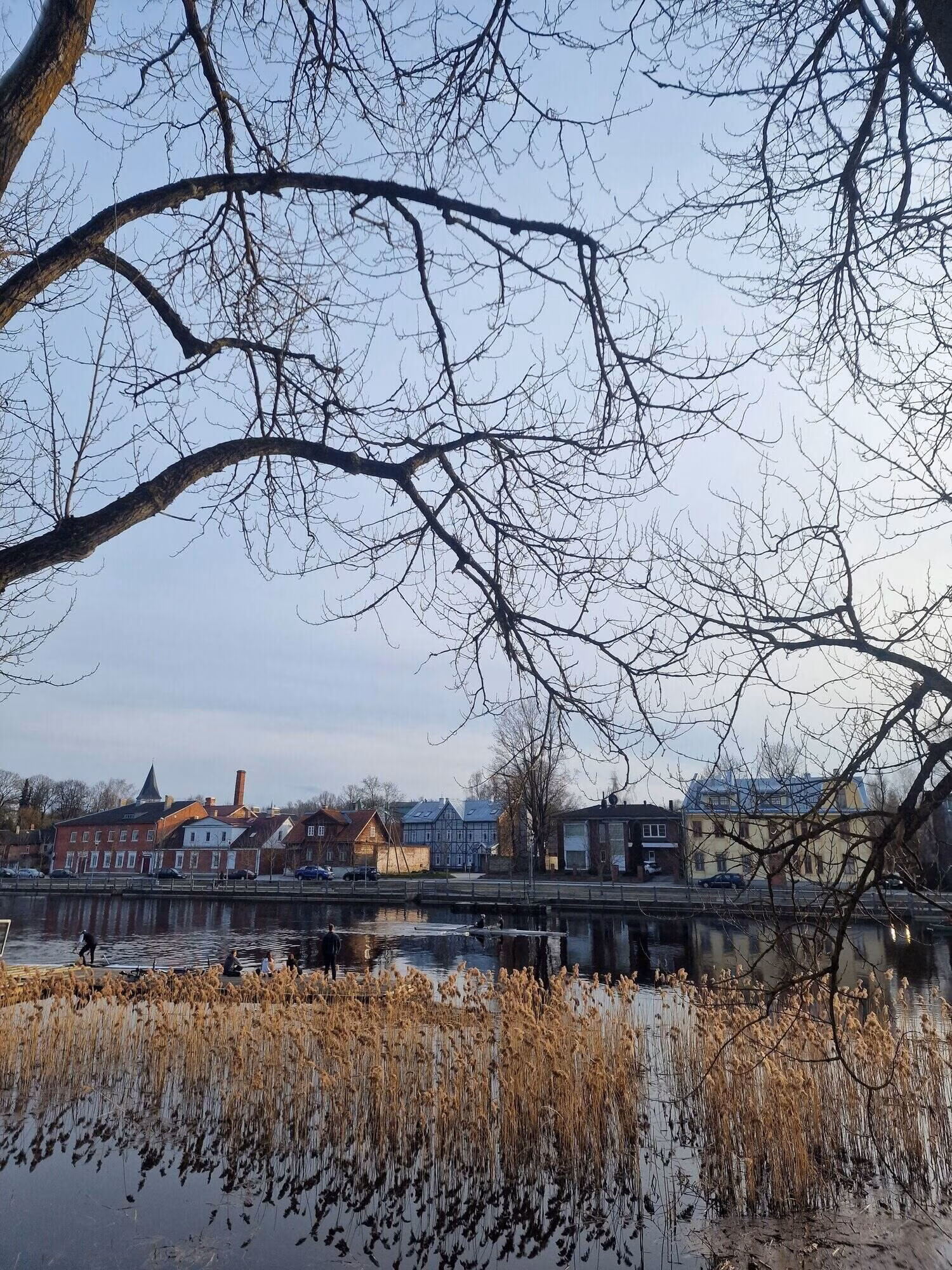 Roheline päevaraamat – kuidas püüda purki jahe kevadõhk