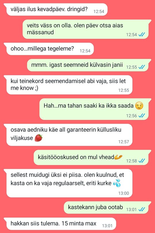 Kuvat&otilde;mmis vestlusest, anon&uuml;&uuml;msete kasutajate loal