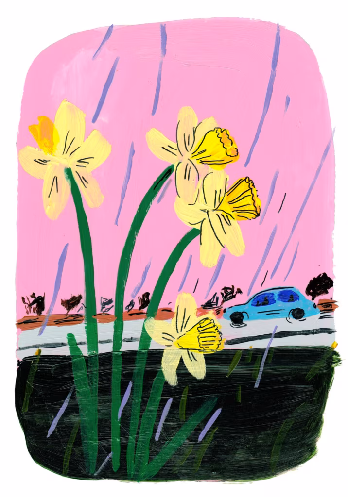 Illustratsioon: Liisa Kruusm&auml;gi