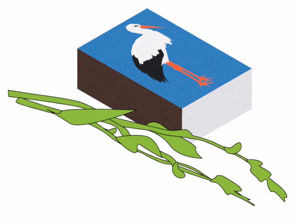 Luule: Janika L&auml;&auml;nemets