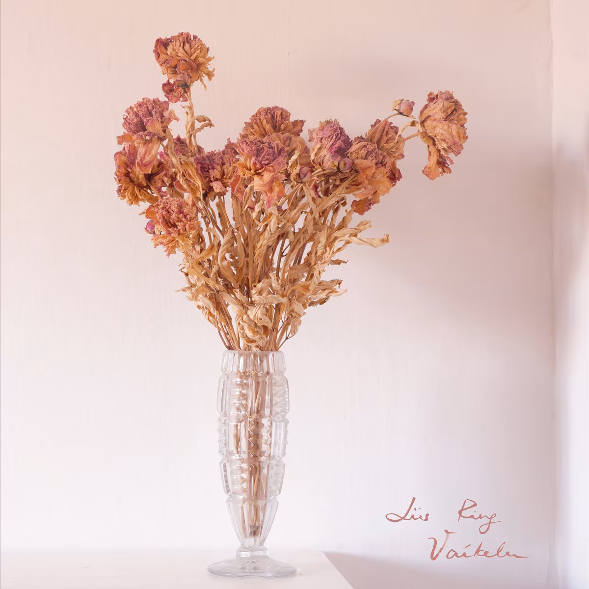 Liis Ring – Vaikelu (Õunaviks, 2023)