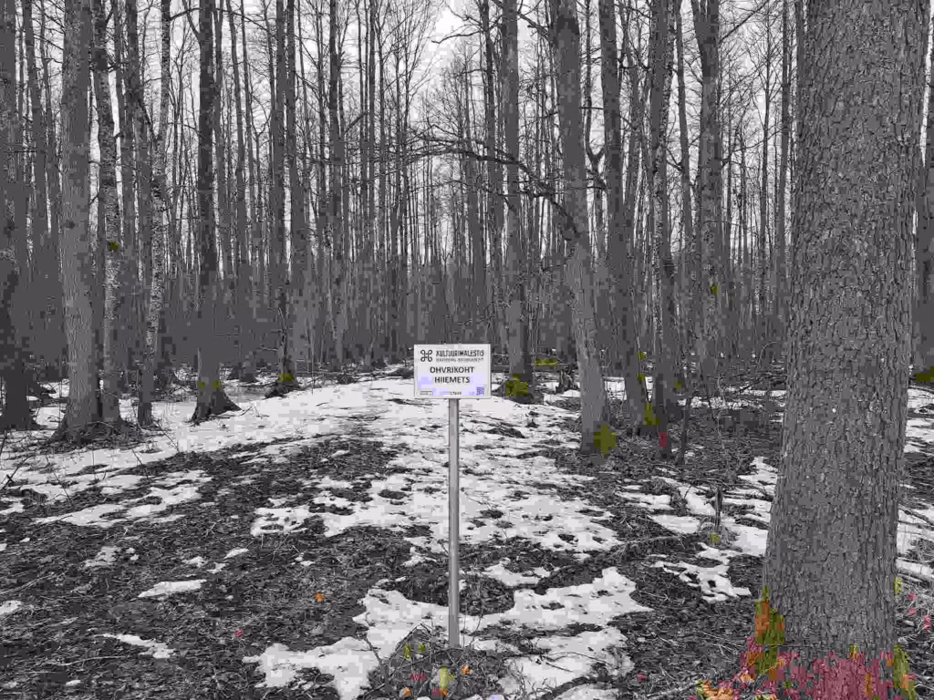 Miks ja kuidas kaitsta looduslikke p&uuml;hapaiku?