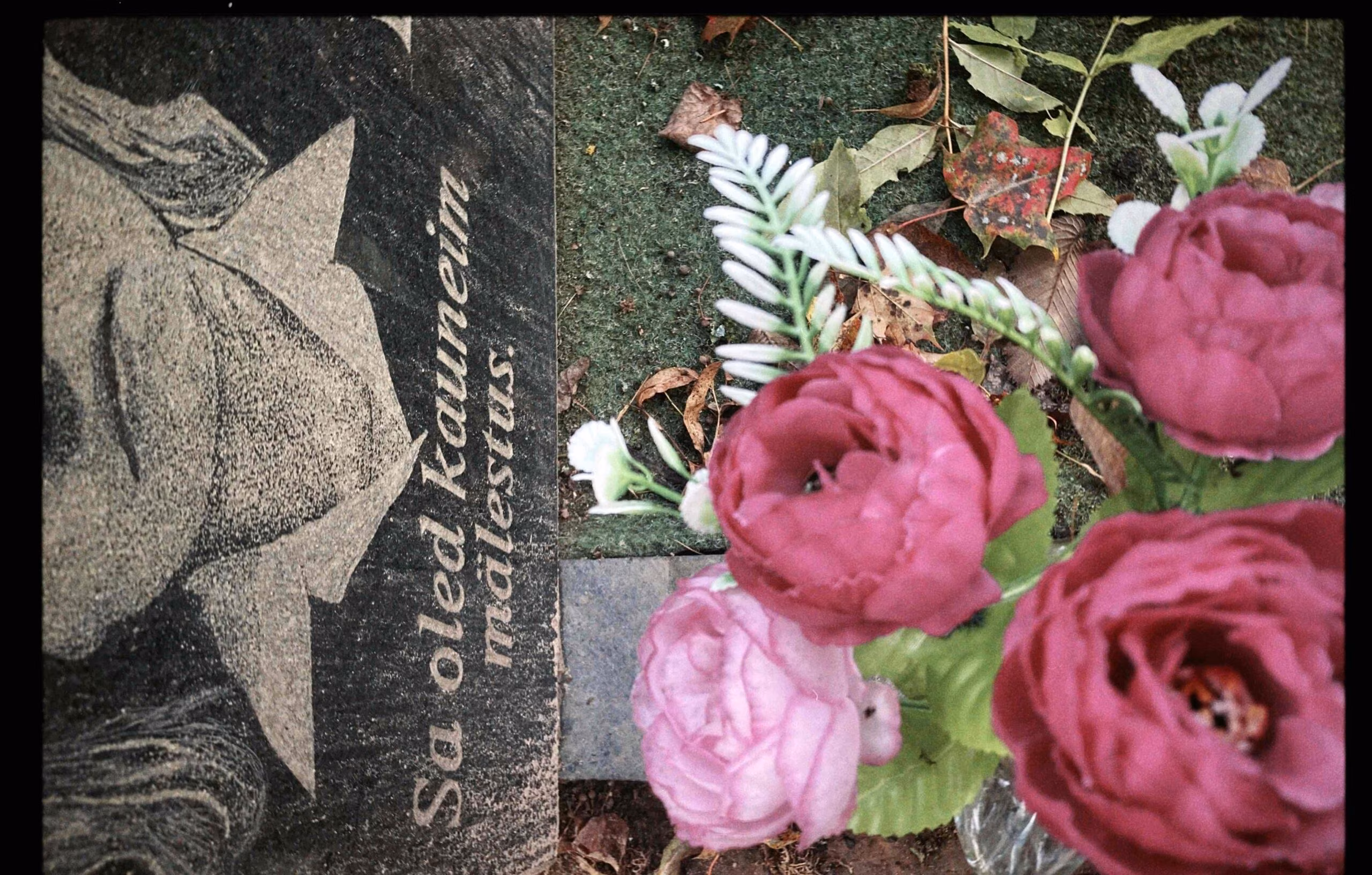 Fotoessee: Kalmukroonika ehk Sõbrannadega surnuaias