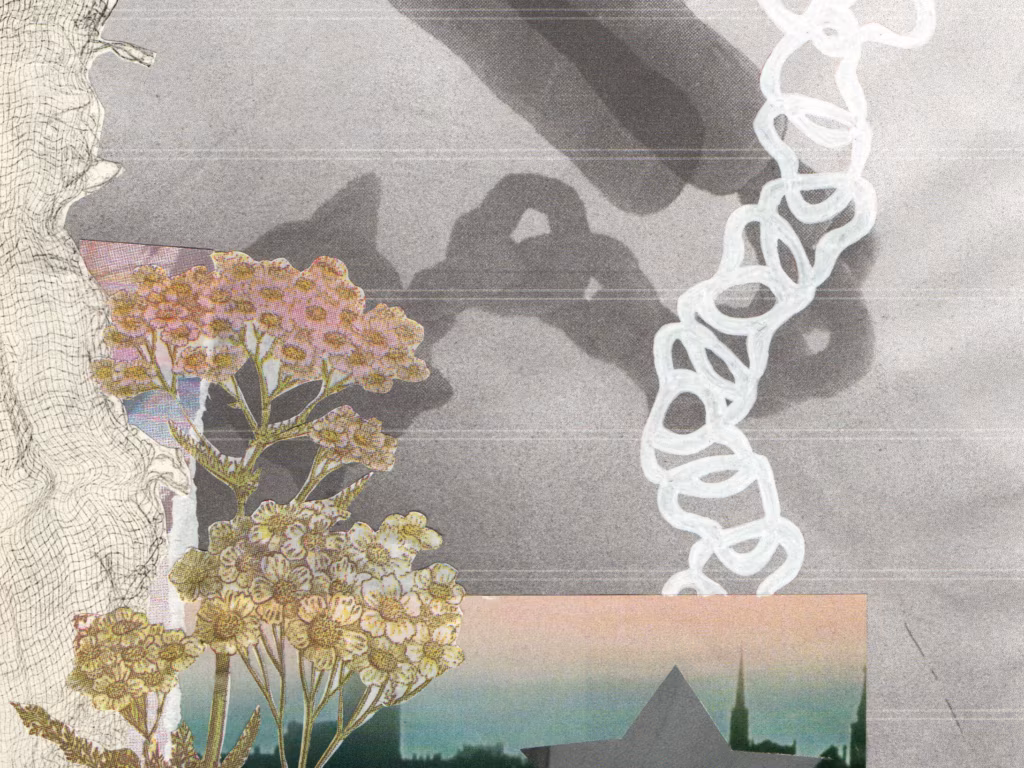 Luule: Olha Povorozn&otilde;k