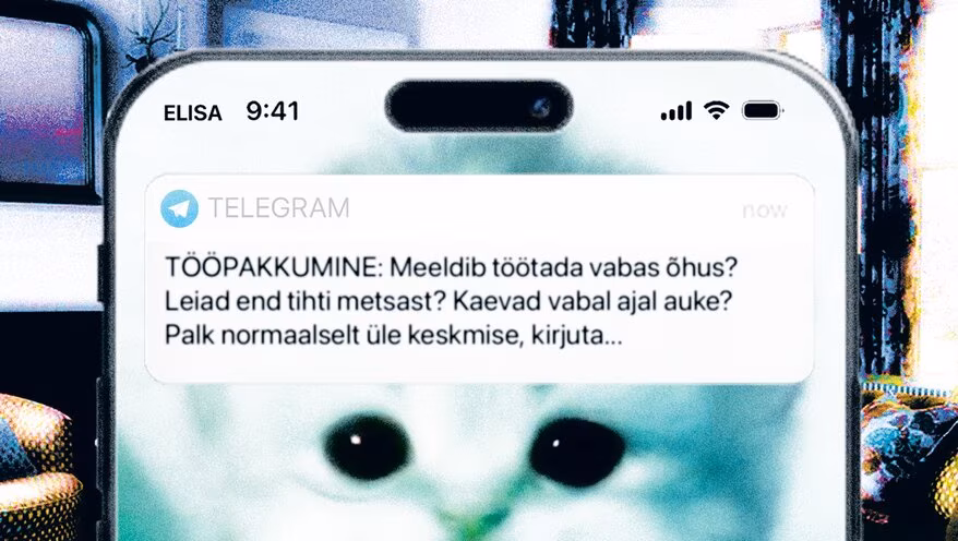 Pool Eestit teeb peale. Intervjuu droppijaga