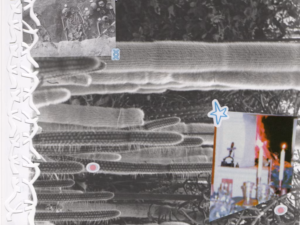 Luule: Saara Lotta Linno