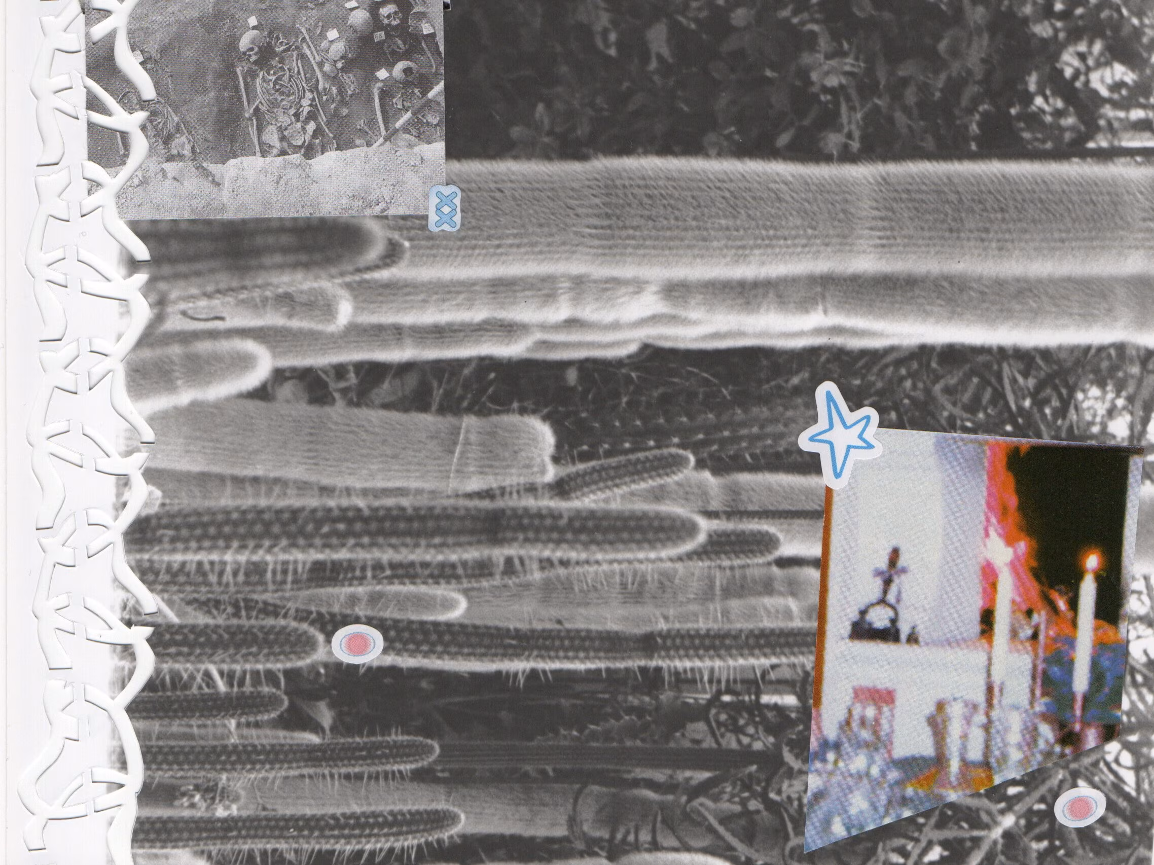 Luule: Saara Lotta Linno